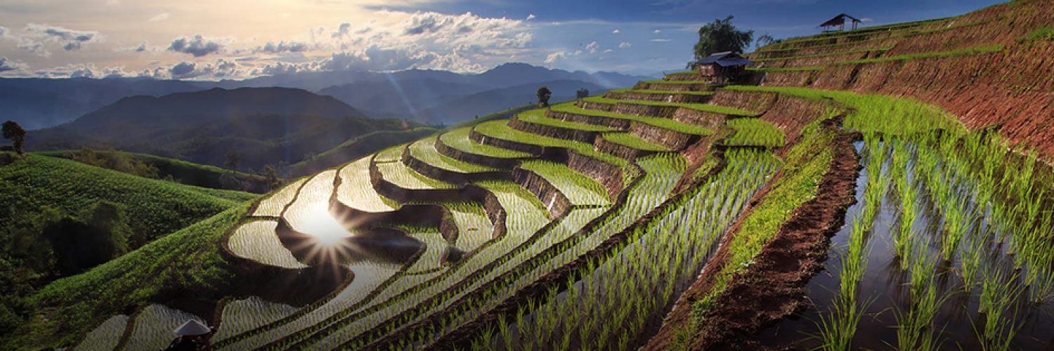 environmental-protection_kv